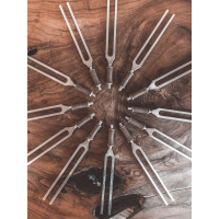 assortiment-stemvorken-tuning-forks