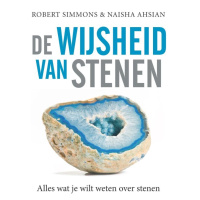 de-wijsheid-van-stenen-9789401305433_a