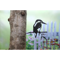 geluksvogel-ijsvogel-1308-2_a