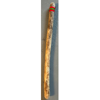 rainstick-cactus-dik-100cm-rood-groen_1