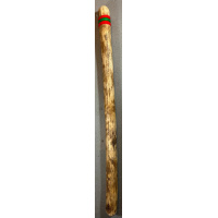 rainstick-cactus-dik-100cm-roodgroen_1
