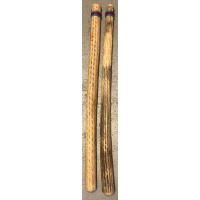 rainstick-cactus-dik-100cm-turkoois-rood_1