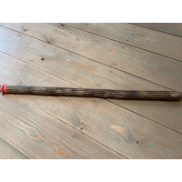 rainstick-cactus-dun-100_cm-a_1
