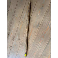 rainstick-cactus-dun-100_cm-d_1