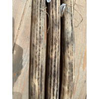 rainstick-plus-cactus-dik-75cm_3