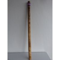 regenmaker_regenstok_rainstick_cactus_dun_100cm-j1