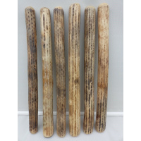 regenstok_rainstick_75cm-dik_assorti_cactus