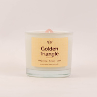 themakaars-met-edelstenen-golden-triangel_1