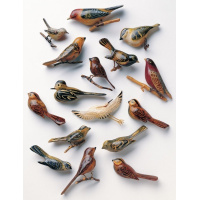 vogelfluit