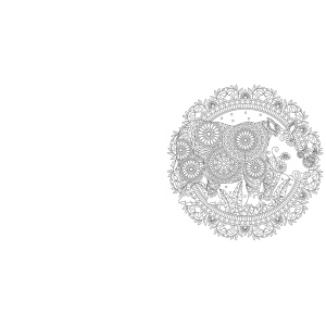 amazing-animals-mandalakunst-kleurboek-20-uitneembare-dieren-mandalas-kleurplaat-a