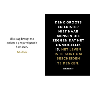binnenpaginas_van_you_are_so_awesome_met_citaten_van_babe_ruth_en_tim_ferriss