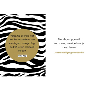 citaten_van_tina_fey_en_johann_wolfgang_von_goethe_in_you_are_so_awesome