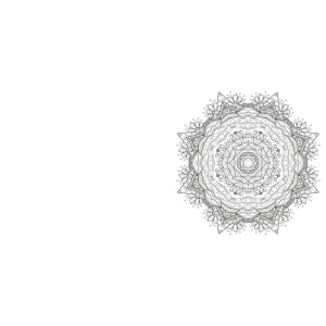 creartive-colors-flower-mandala-kleurboek_2