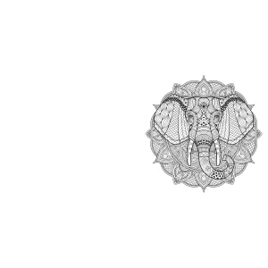 creative-colors-natuur-mandala-kleurboek_5