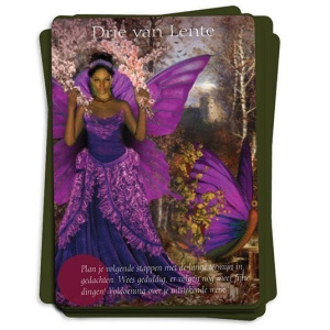 elfen-tarotkaarten-doreen-virtue_i