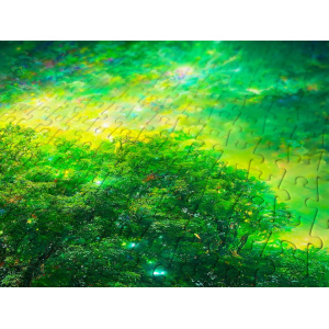 enjoy-puzzel-norse-tree-of-life_3