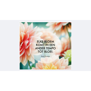 geloof-in-jezelf-inspiratiekaarten-9789044770308_8