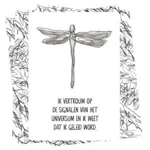 het-universum-staat-achter-je_d