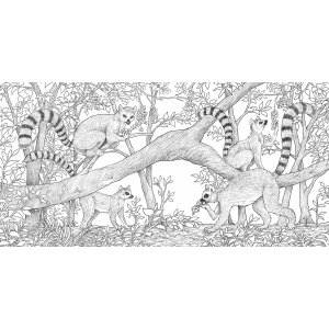 kleurboek-animal-world-9789463549059_6