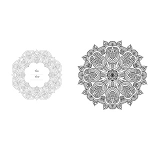 kleurboek-creative-moments-nature--flowers-mandala-creatief-kleuren-9789463541053_7