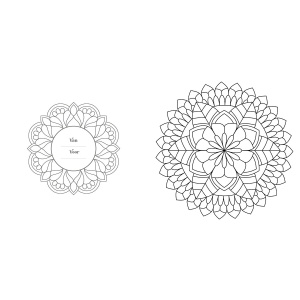 kleurboek-creative-moments-senioren-mandala-creatief-kleuren-9789463541992_6