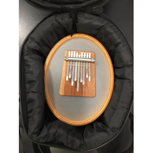 meinl-kanjira-tas-met-sansula_2