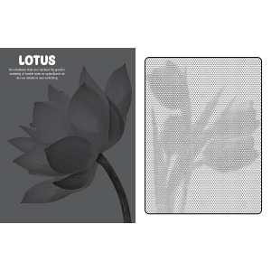 mystical-dots-bloemen-kleurboek_6