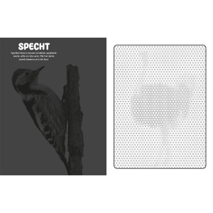 mystical-dots-vogels-kleurboek_6