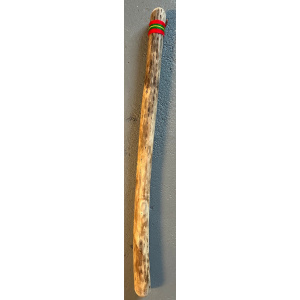 rainstick-cactus-dik-100cm-rood-groen_1