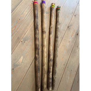 rainstick-cactus-dun-100_cm-assorti