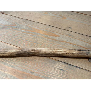 rainstick-cactus-dun-100_cm-d_3