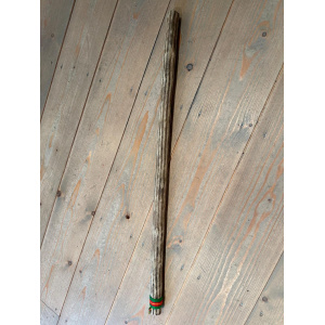 rainstick-cactus-dun-100_cm-e_1