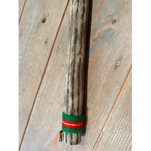 rainstick-cactus-dun-100_cm-e_2