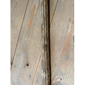rainstick-cactus-dun-100_cm-e_3