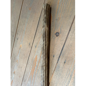 rainstick-cactus-dun-100_cm-e_4