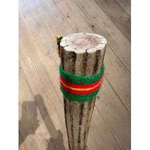 rainstick-cactus-dun-100_cm-e_5
