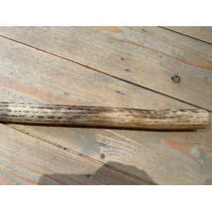 rainstick-cactus-dun-75cm-a_5_22664543