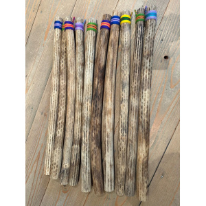 rainstick-cactus-dun-75cm-assorti