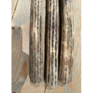 rainstick-plus-cactus-dik-75cm_4