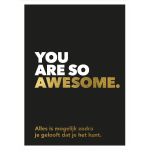voorkant_van_het_giftboek_you_are_so_awesome