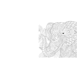 wild-beauty-mandala-kleurplaten-b