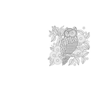 wild-beauty-mandala-kleurplaten-d