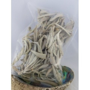 witte_salie-white_sage_1