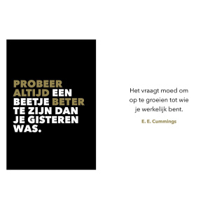 you-can-do-it-cadeauboek-inspiratie