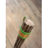 rainstick-cactus-dun-75cm-b_4