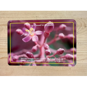 13__chesed_in_atziloet