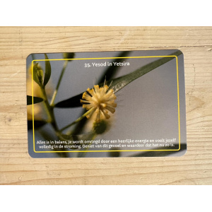 35__yesod_in_yetsira