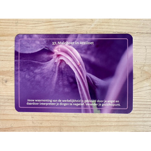 37__malchoet_in_atziloet