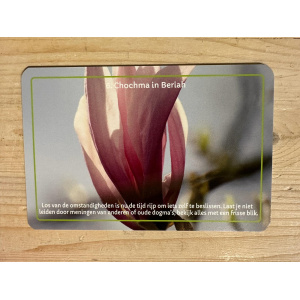 6__chochma_in_beriah