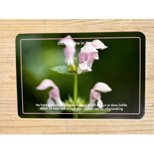 7__chochma_in_yetsira